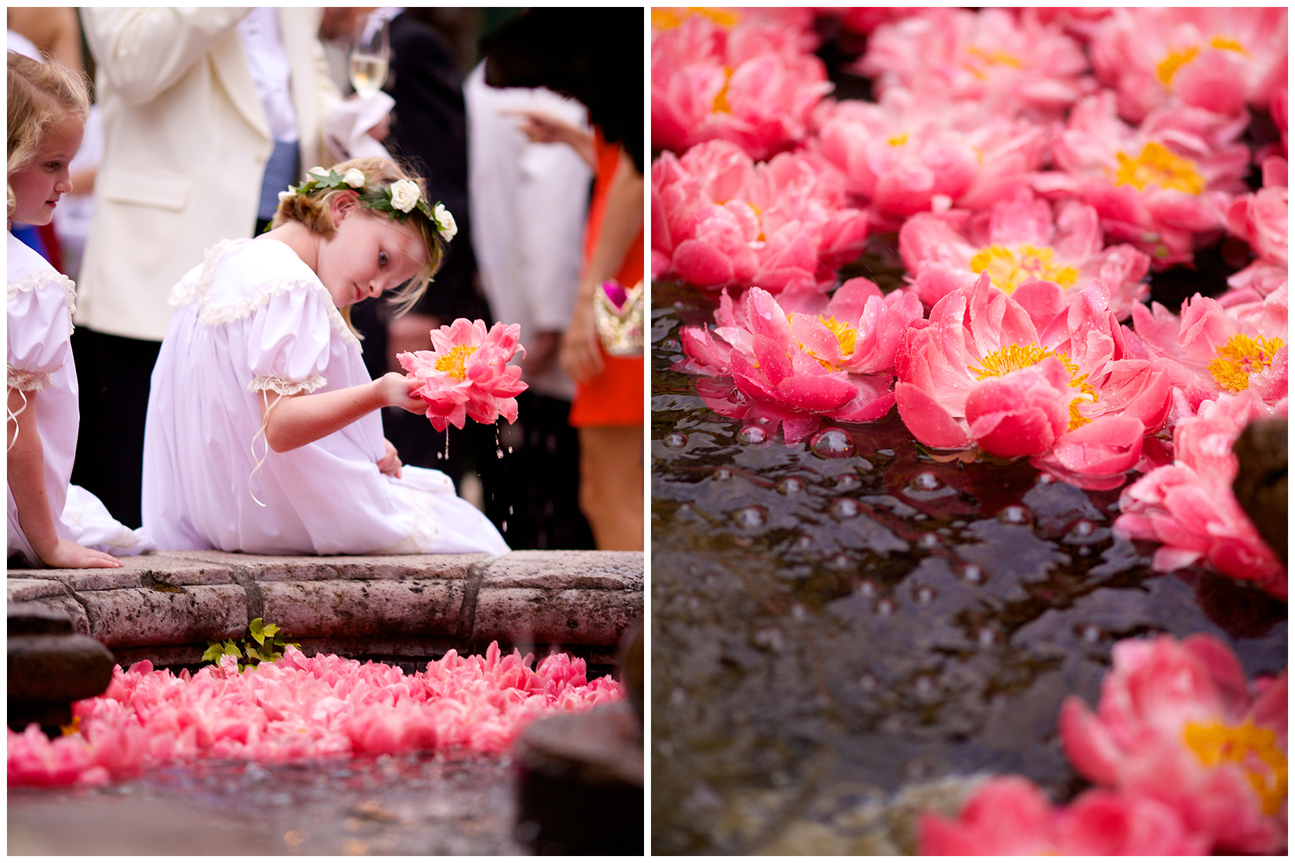 Jensen Larson Photography |Ocean Forest Wedding 